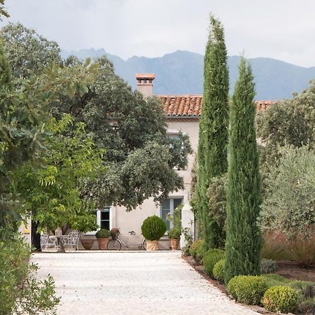 La Casa De Los Tomillares Candeleda Exteriér fotografie